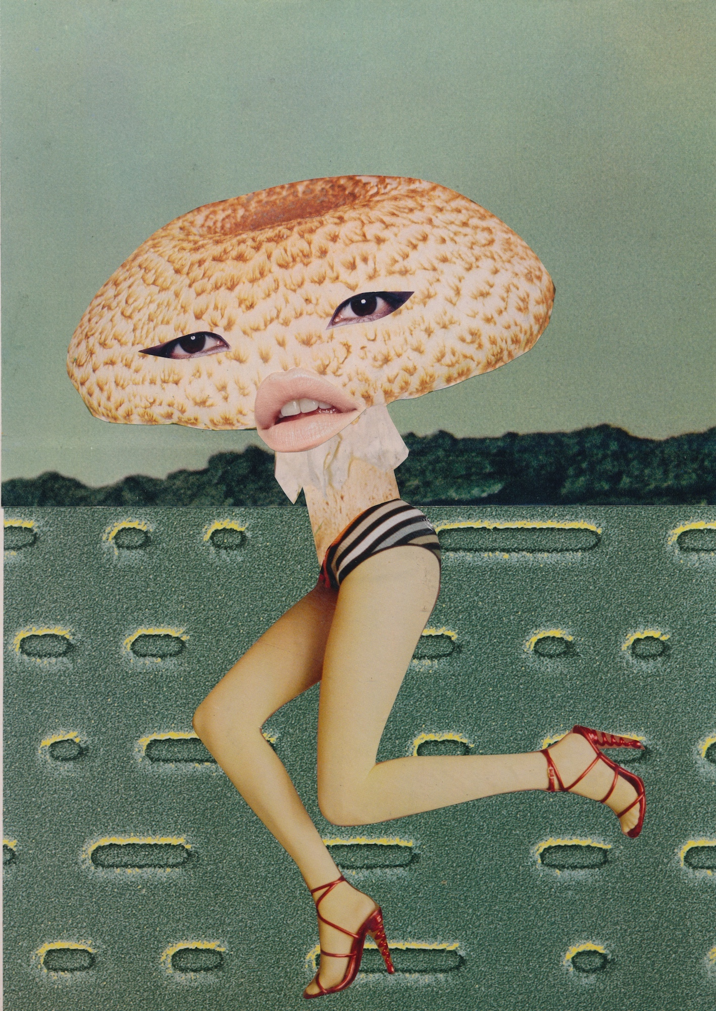 Mushroom collage by Seana Gavin